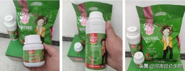 辣椒烂根原因和防治,辣椒烂根用什么方法处理