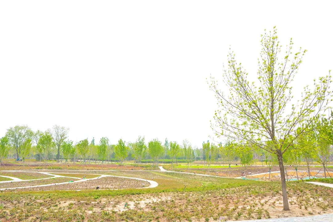 北京新开40个公园在哪里,北京十佳公园