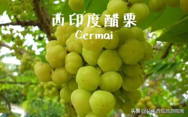 马来西亚那些“奇形怪状”水果