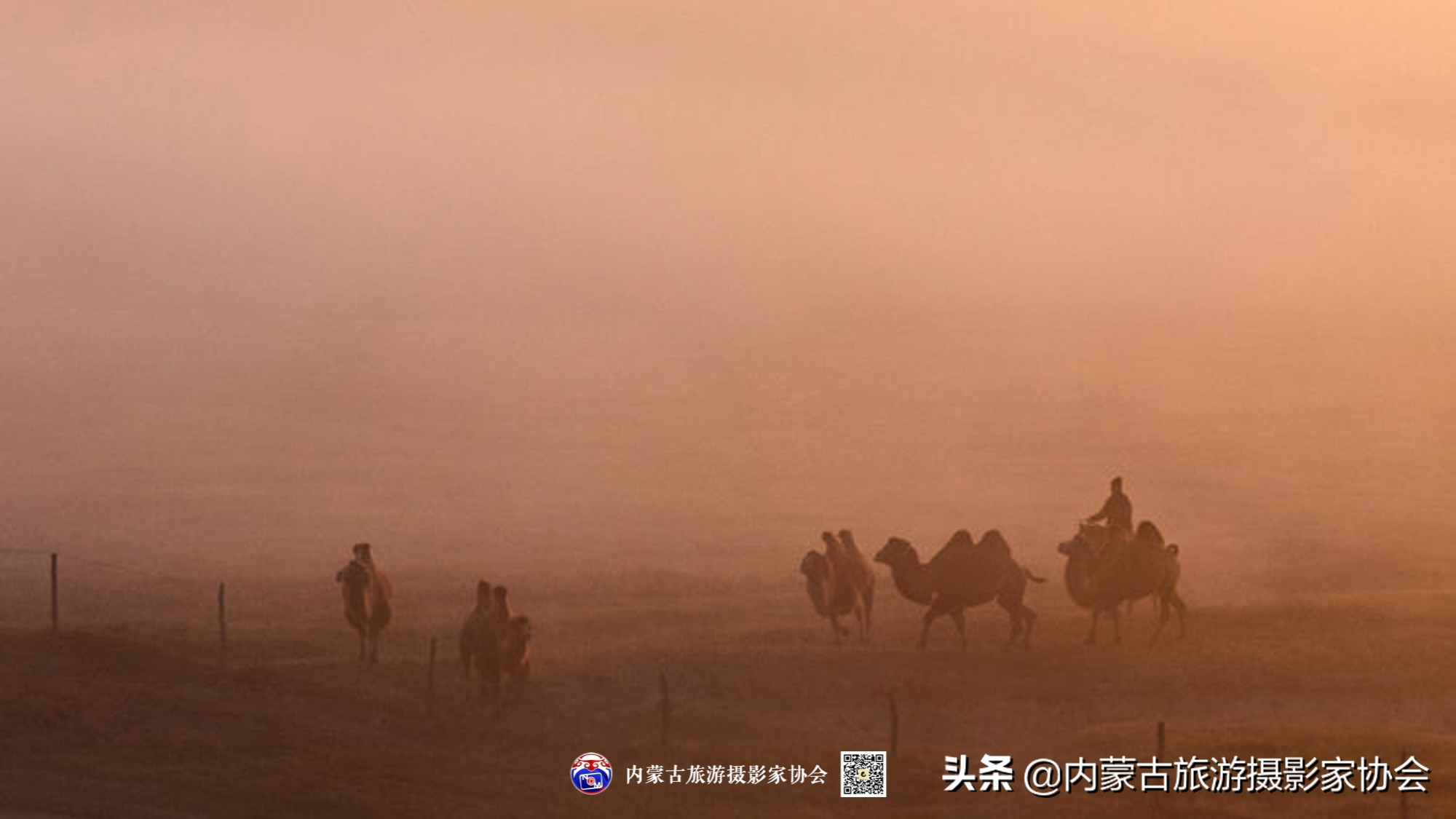那山那水那味道,那山那水那份爱