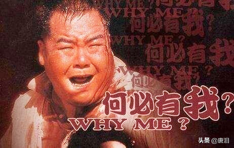 第40届香港电影金像奖名单预测,历届香港金像奖最佳摄影奖