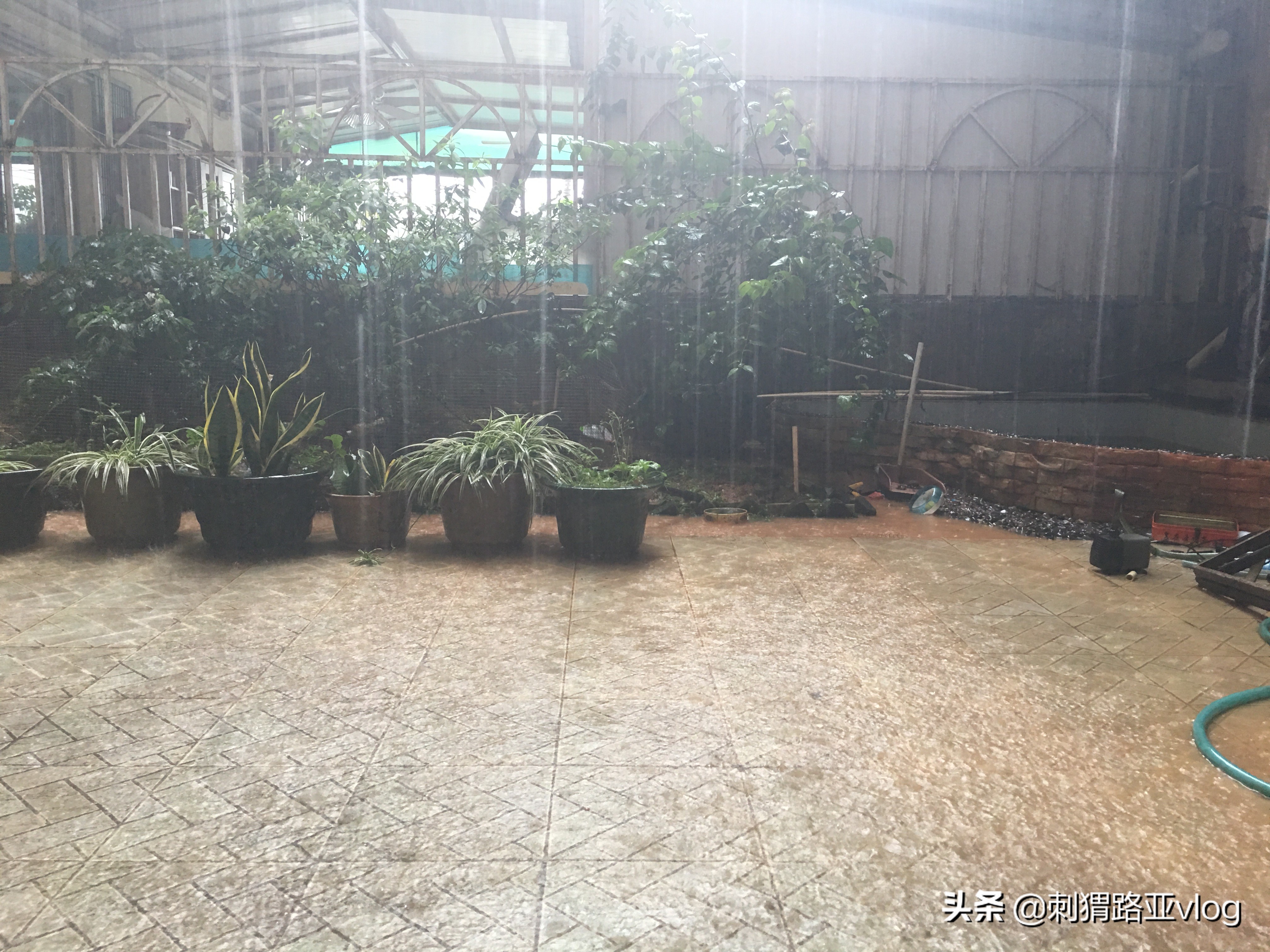 路亚钓海鱼视频,路亚钓鱼近岸小范围作钓攻略