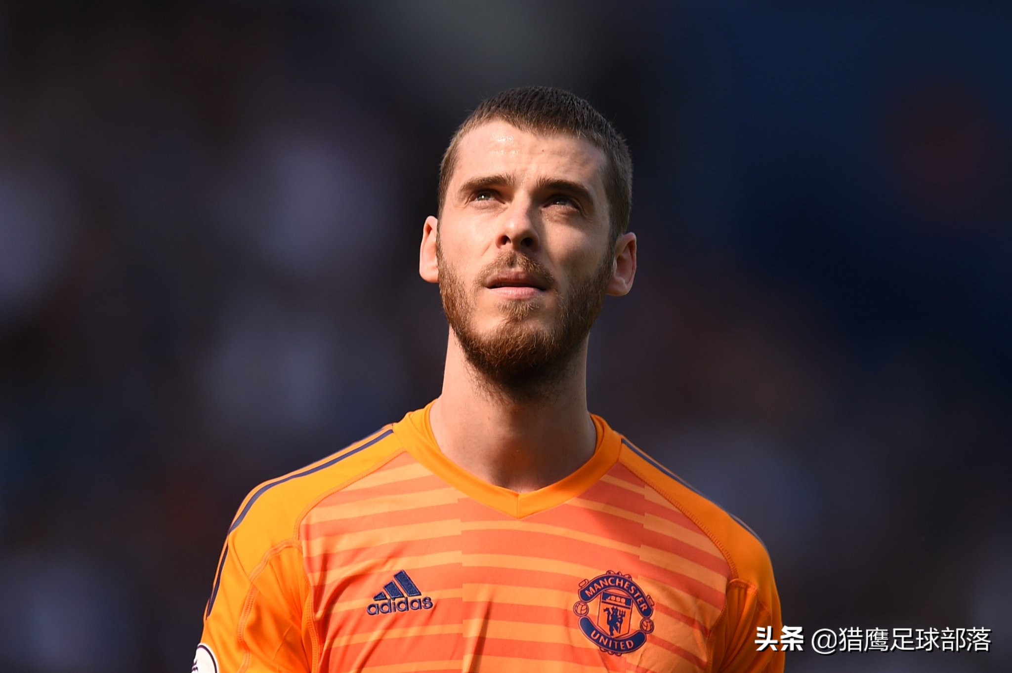 一场4-1血洗足球三大纪录,一场1-2让英超轰然倒下出局