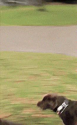 考清华北大其实很简单,有没有谁考清华北大很容易的