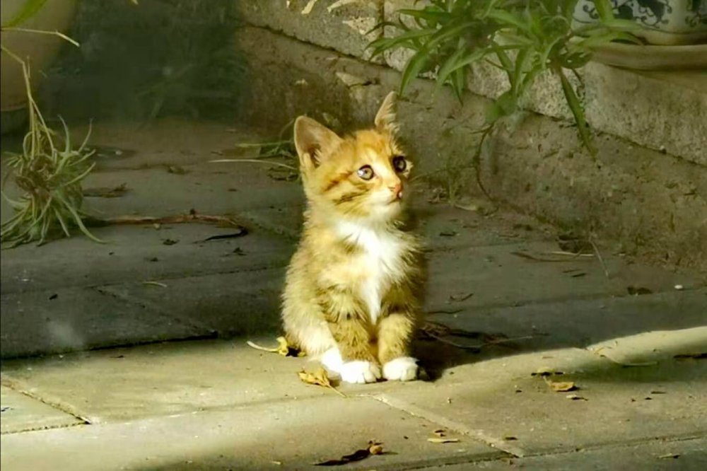 *草烟**微语丨昨夜今晨*草烟**事 01.08 2020