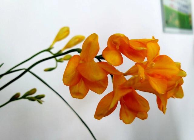 手拍世界手机摄影平台,手拍世界摄影平台