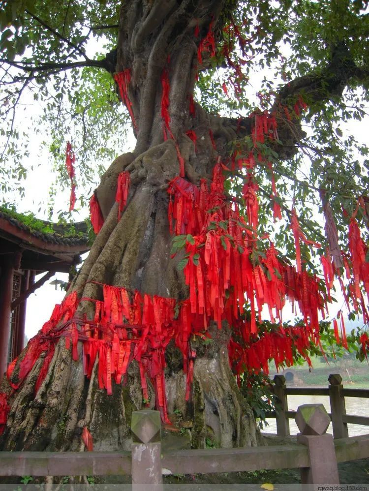 漫步成都街头的文案,漫步成都