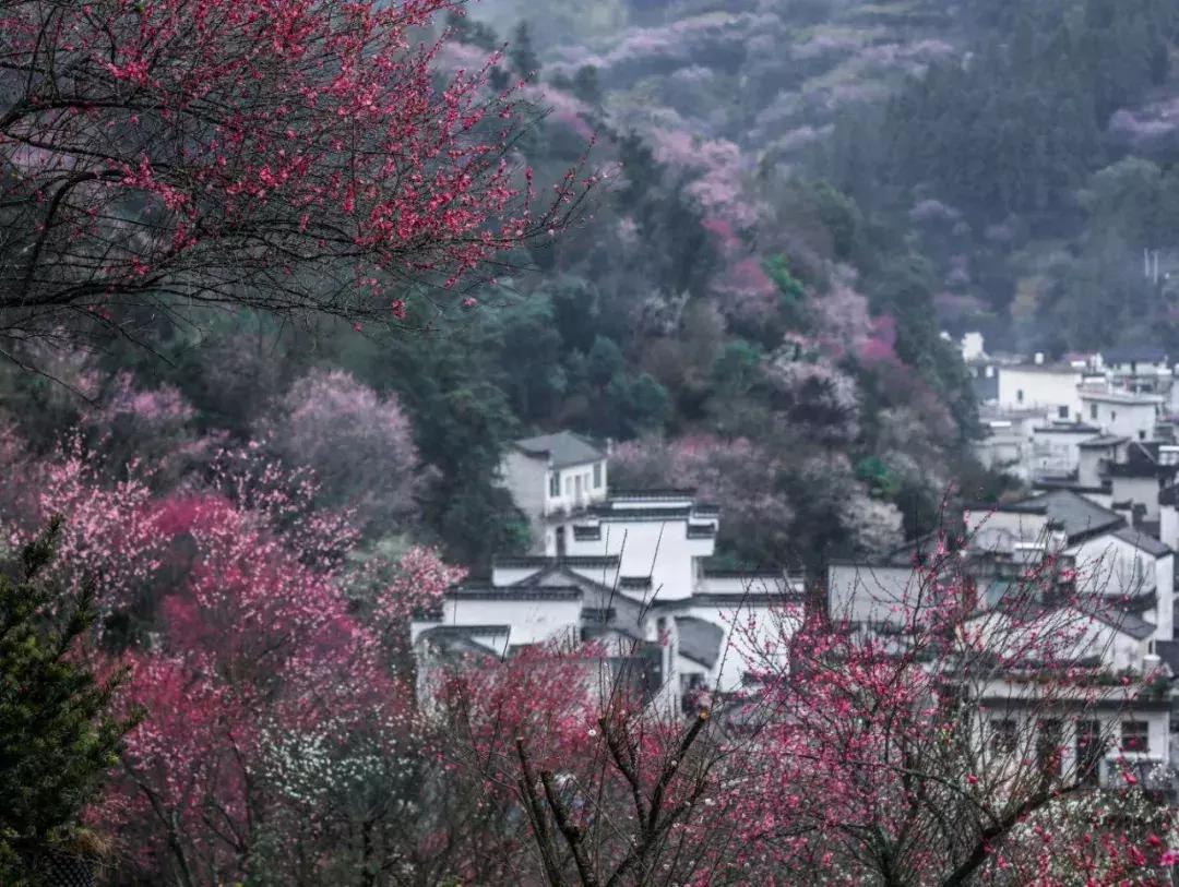 景美人少的古村,景美人少的神仙秘境