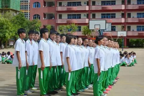 最美小学,海口优秀的小学