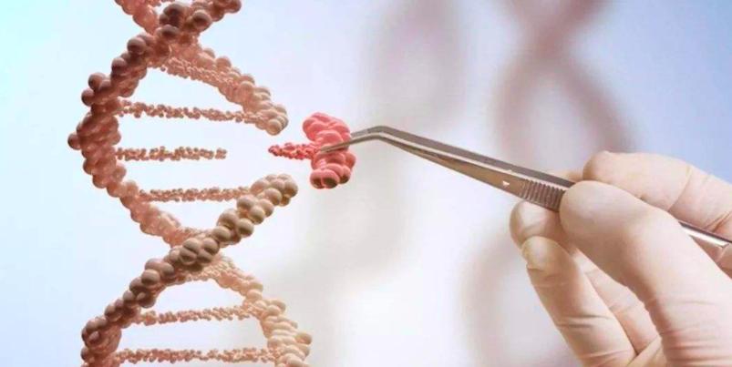 让一部分人先富起来的重要性,让一部分人先富起来的正确理解