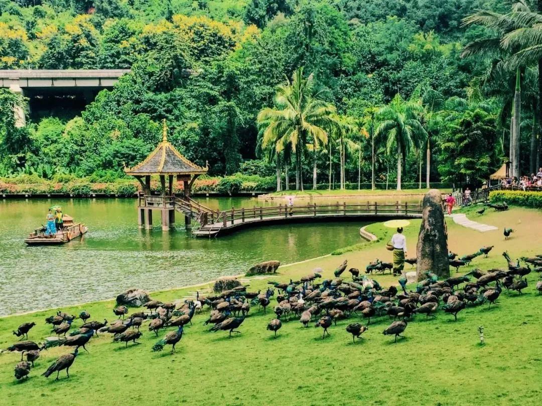 云南最美的旅游景点排名,大美云南11个县域旅游地