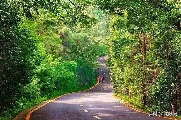 沈阳小户型民宿,一房难求的小旅馆