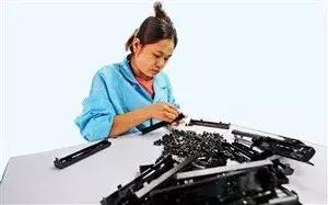 海关在空港口岸截获入侵物种“田园杀手”非洲大蜗牛