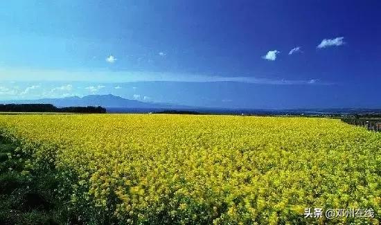 南阳最新重要新闻,河南南阳有什么大事