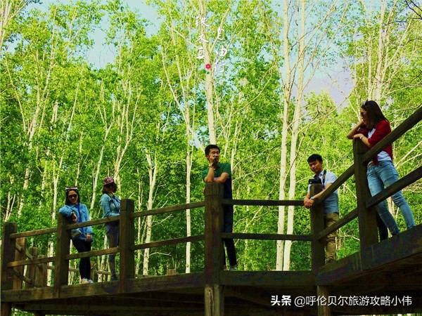 我和呼伦贝尔之间只隔一张火车票只需勇敢前行，梦想自会引路
