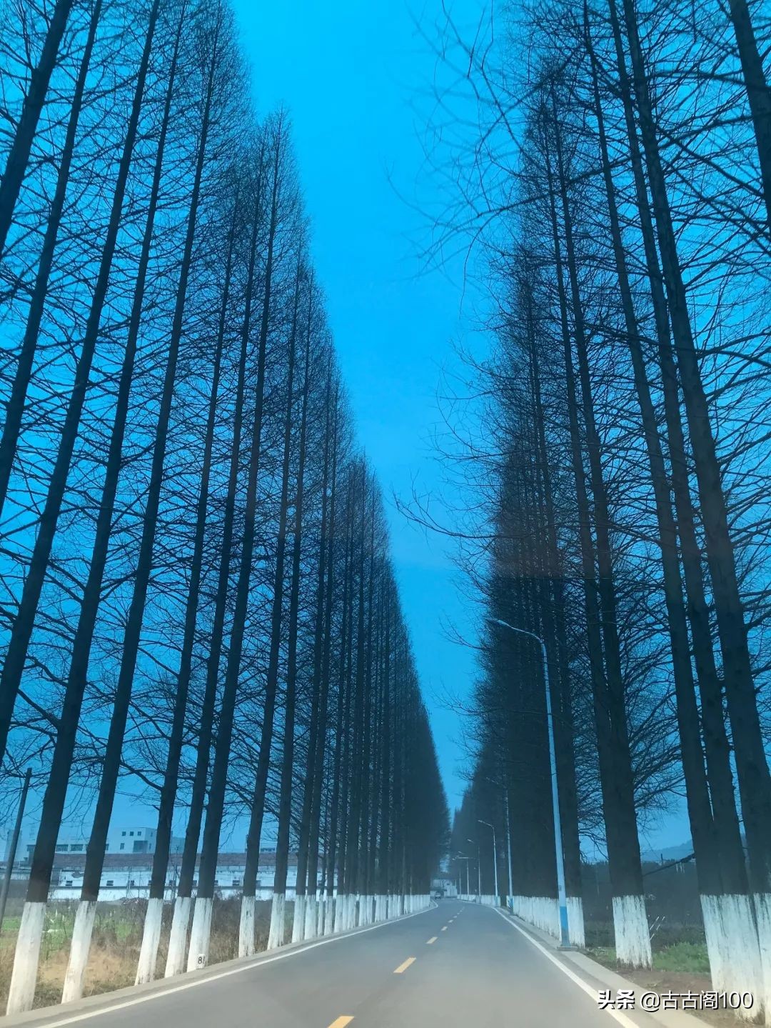 萧绍古道沿途风景,萧绍古道难爬吗