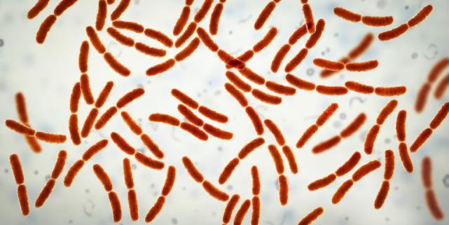 肠道微生物群紊乱的后果,肠道微生物对人体健康的影响