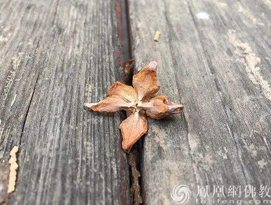 北大研究生的一生经历,北大研究生出家当和尚
