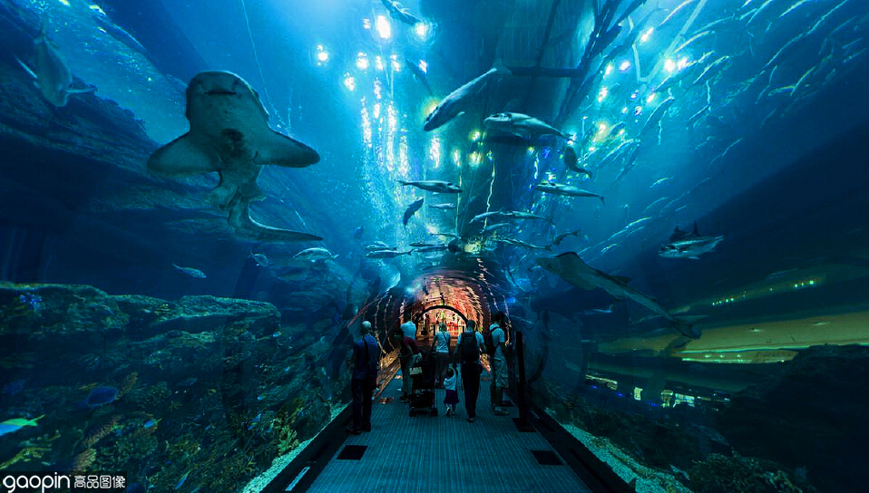 迪拜的购物中心和景点有哪些特色,迪拜购物必买护肤品