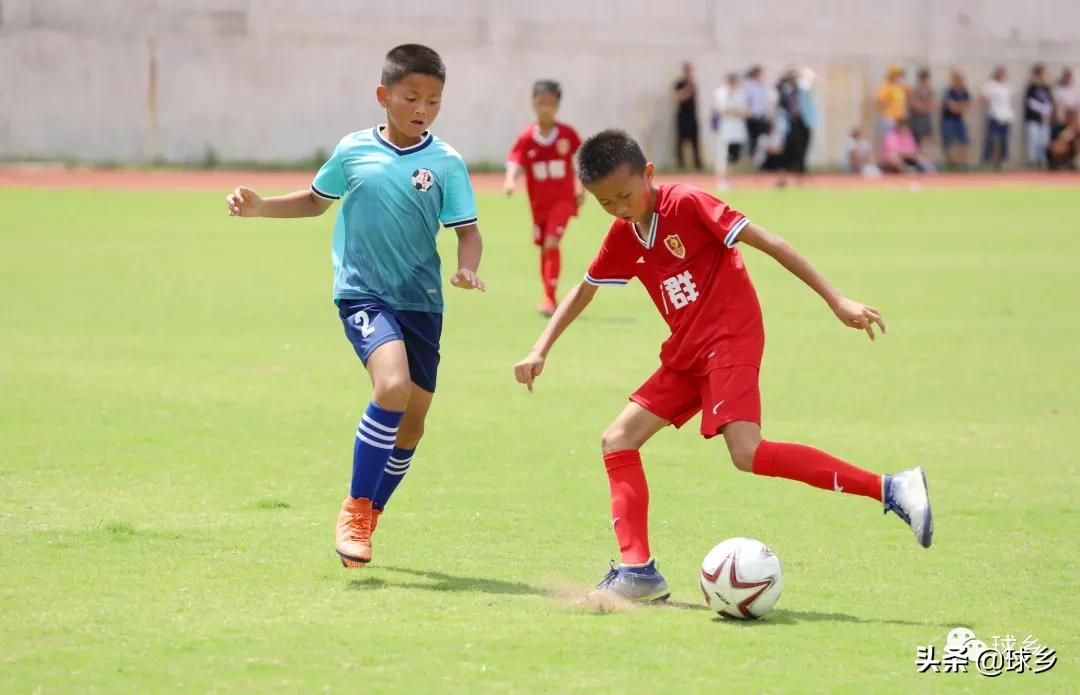 区中小学足球联赛,体教融合杯中学篮球赛