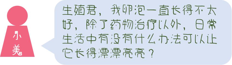 想要卵泡长得好卵巢功能很重要,想要卵子质量好吃什么