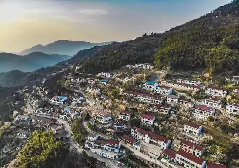 宁波横溪樱桃采摘,宁波周边樱桃采摘