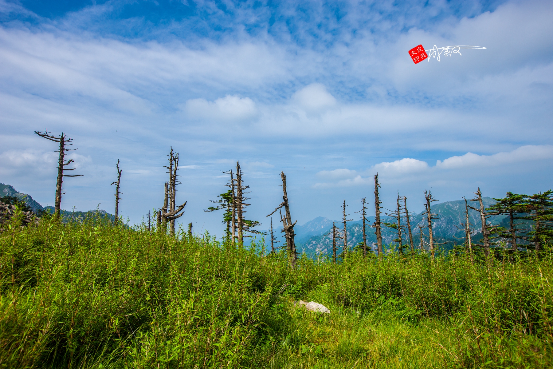 佳能1ds3还值得入手吗,佳能1ds3深度评测