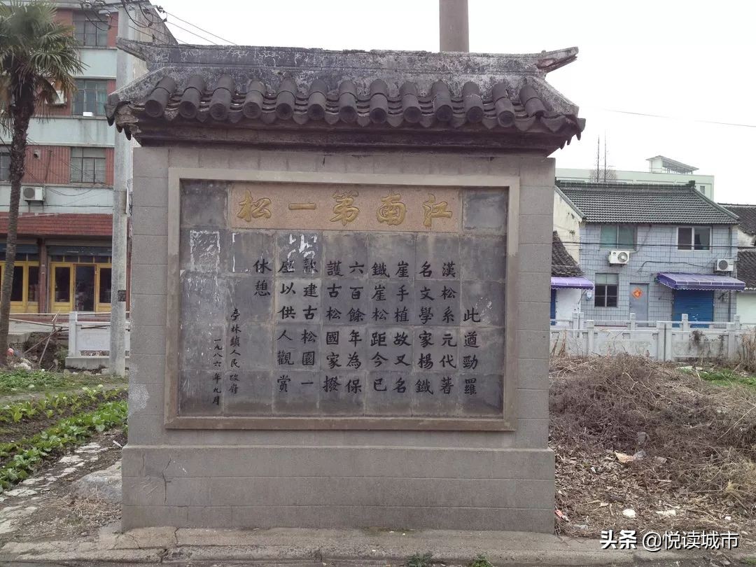 金秋赏“金”：新老照片对比金山发展老金山都不一定认得全