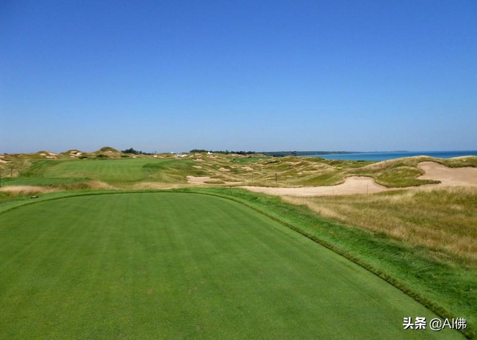 美国圆石滩高尔夫球场,美国高尔夫球场数量