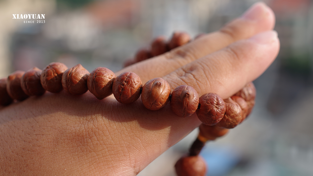 凤眼菩提价格高低的区别,凤眼菩提为啥那么贵