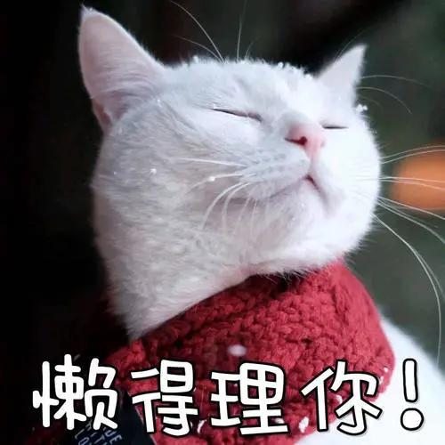 什么叫talktoyoulater,talktoyou什么意思啊