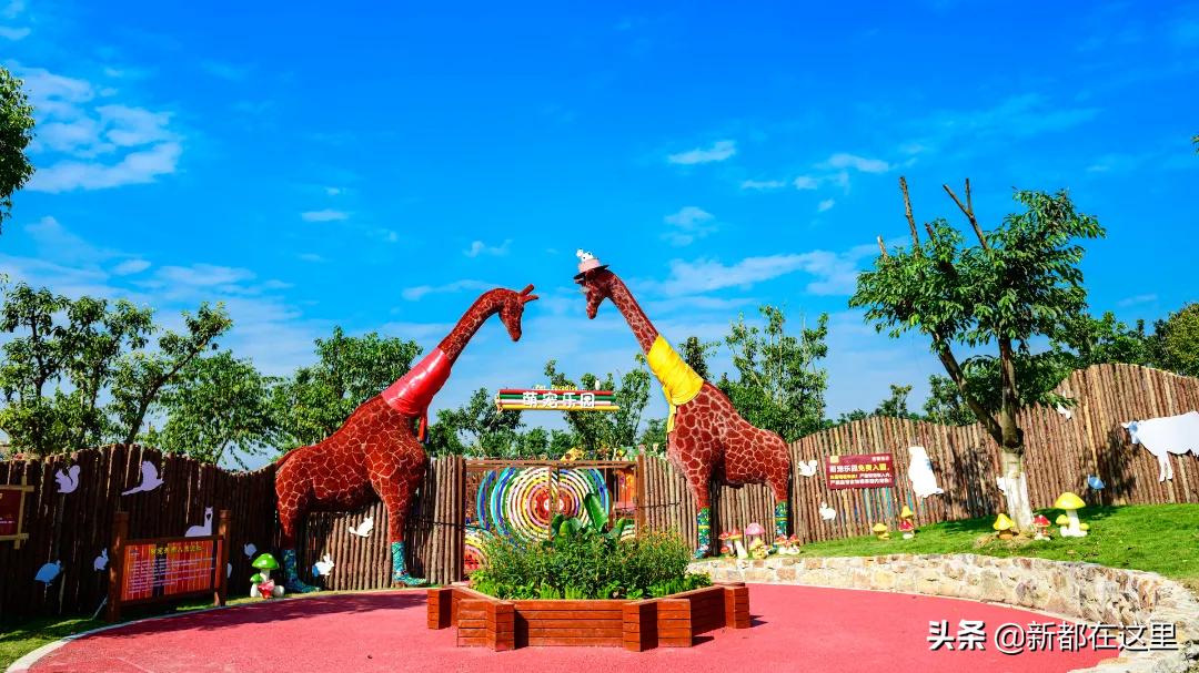 来成都新都公园走一走,新都才是最向往的生活