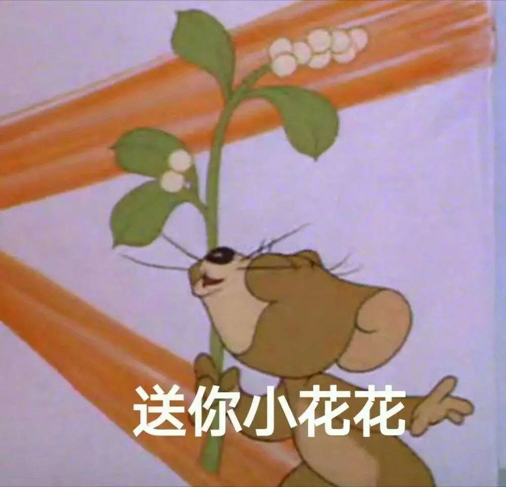 动物界的顶流,动物界熊猫顶流