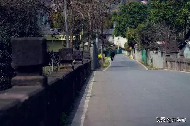 成都看花玩水,成都春游看花