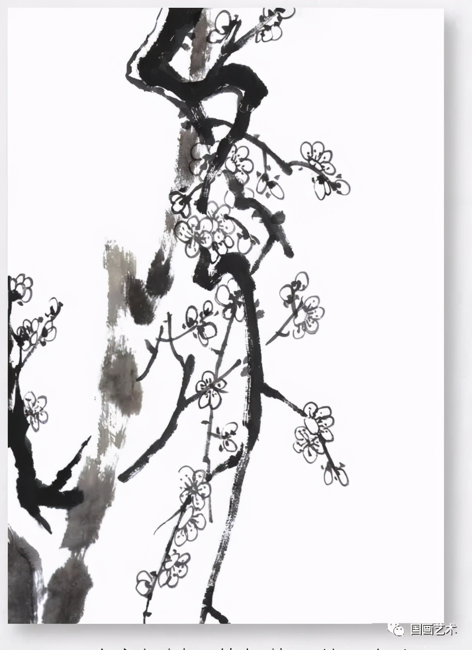 怎样画梅竹松树图片,儿童国画梅花入门画法步骤