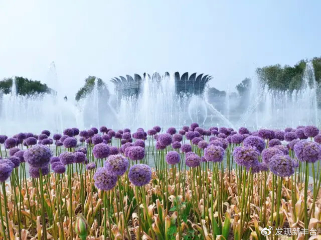 【FENG爆】5·19中国旅游日——*情纵**丰台，感受无限美景！