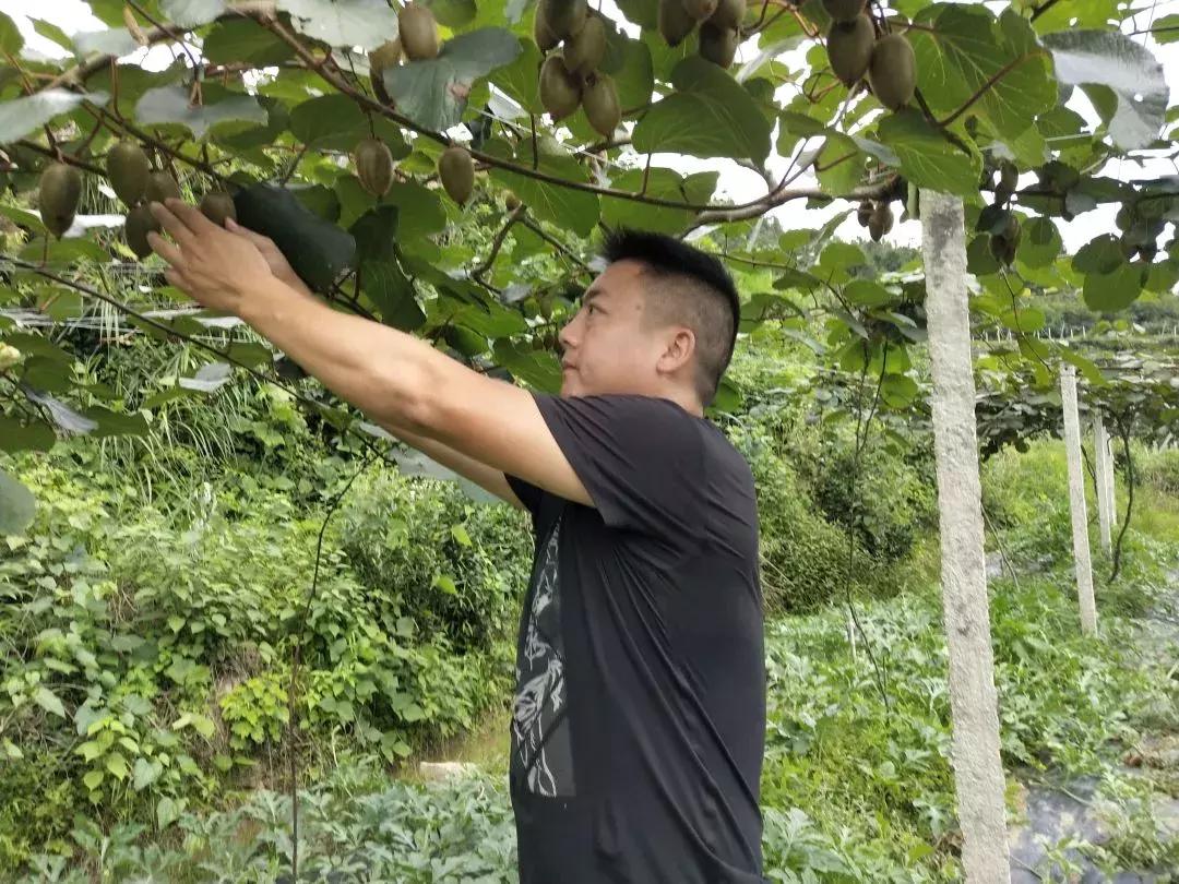 閬傛槍閫傚悎绉嬪ぉ鍘荤殑鍦版柟,閬傛槍鏃呮父缇庢櫙