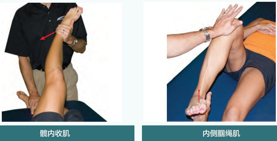 美国运动医学学会——膝关节损伤纠正性训练方案