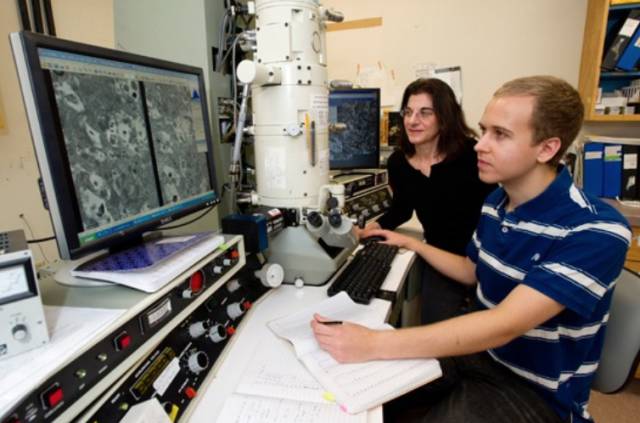 在波士顿大学（BostonUniversity）读书是一种怎样的体验？