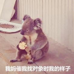 搞笑动图gif图片,搞笑动图gif微信表情包