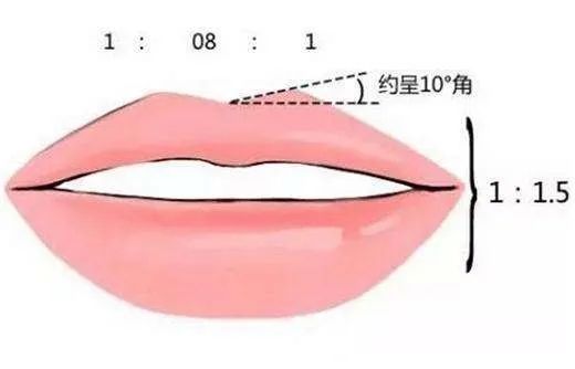 看看自己嘴型适合怎么涂口红,怎么让嘴唇涂完口红后显得很水润