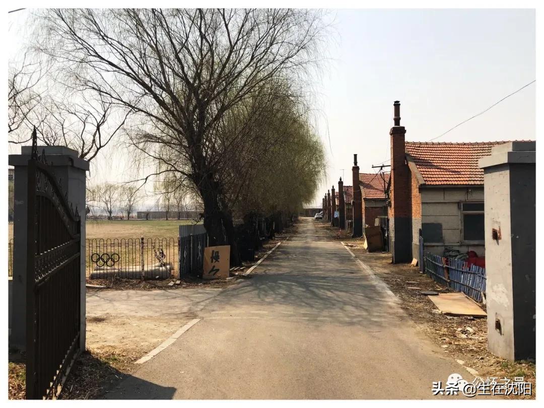 沈阳兴华实验学校回忆,沈阳回忆童年