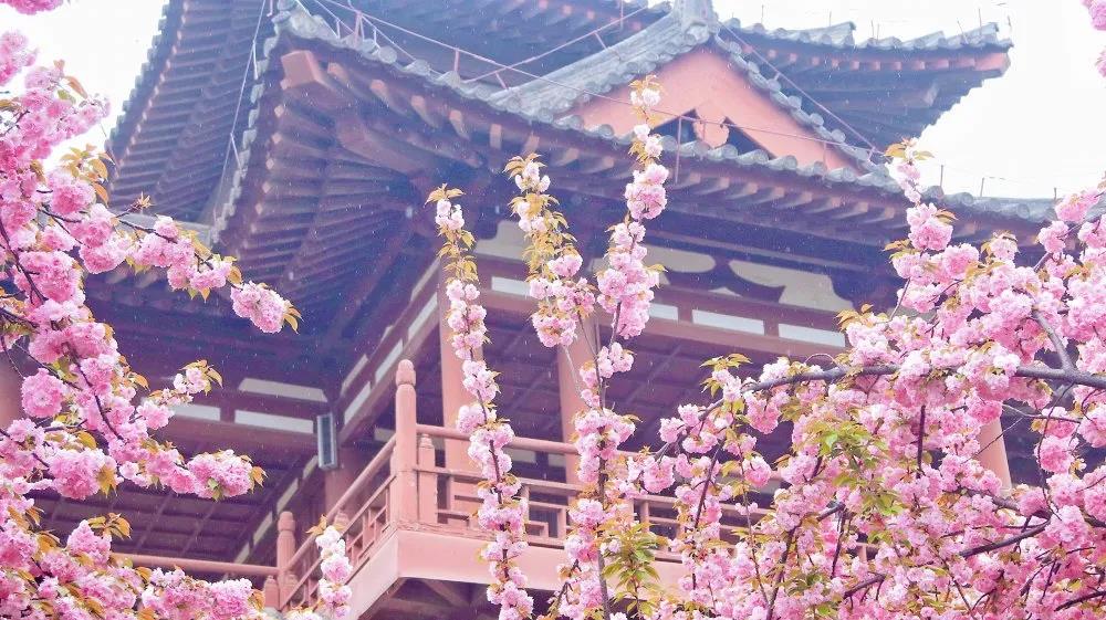 闆佸citywalk濂栭」璇勬瘮 (闆佸citywalk绾胯矾璁捐澶ц禌)