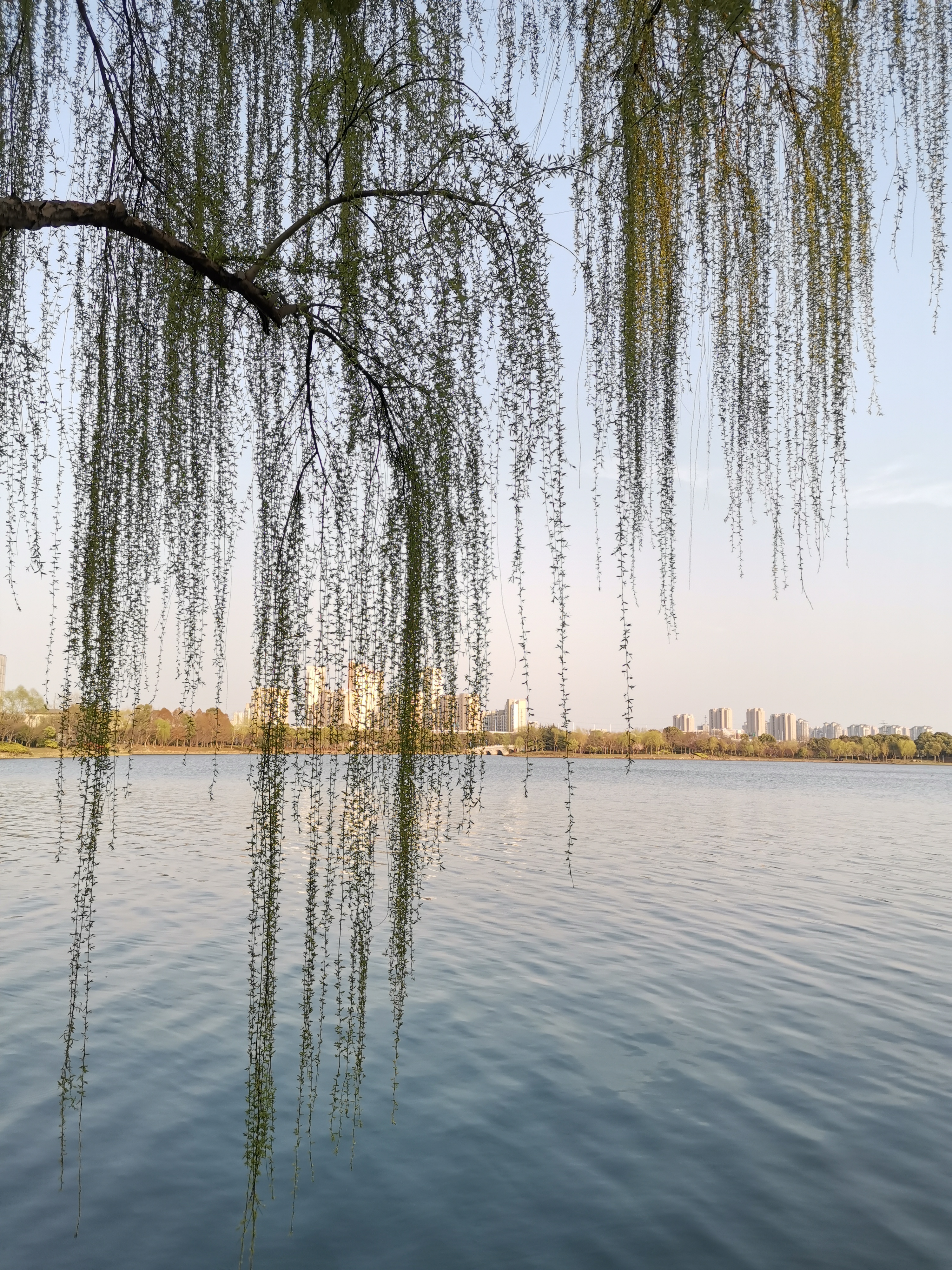 苏州旅游之石湖风景区：春天里，走马观“湖”记