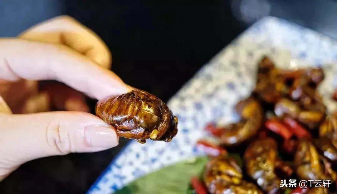 长沙最有名的变态美食,长沙十大变态美食店