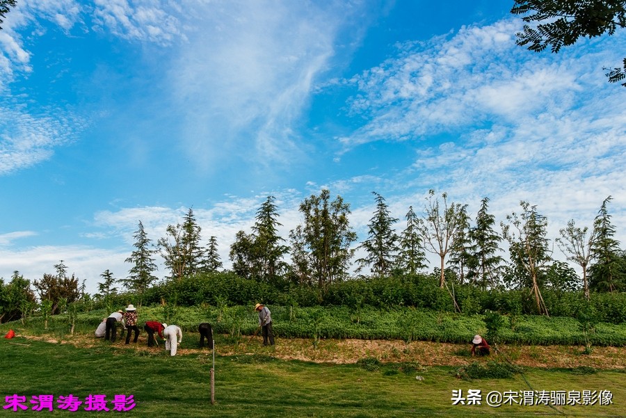 创业湖、健身绿道、仿古社区，关中这个南塬美不美