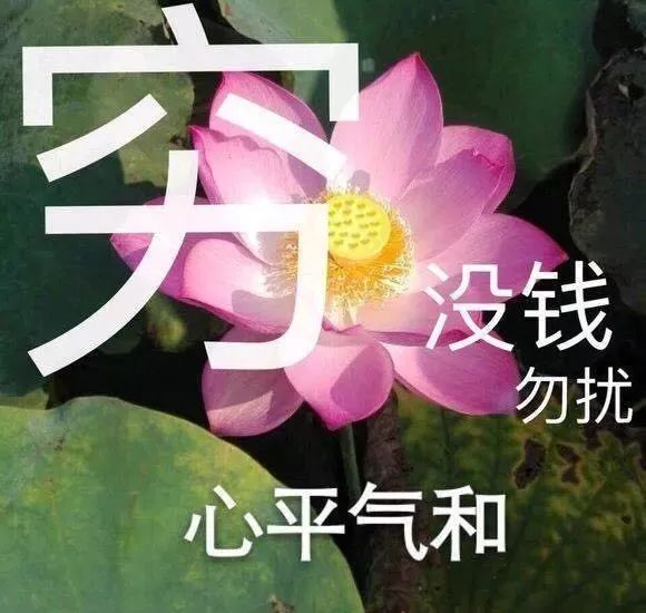护肤别盲从get五官保养秘籍,揭秘让人烂脸的网红护肤方法