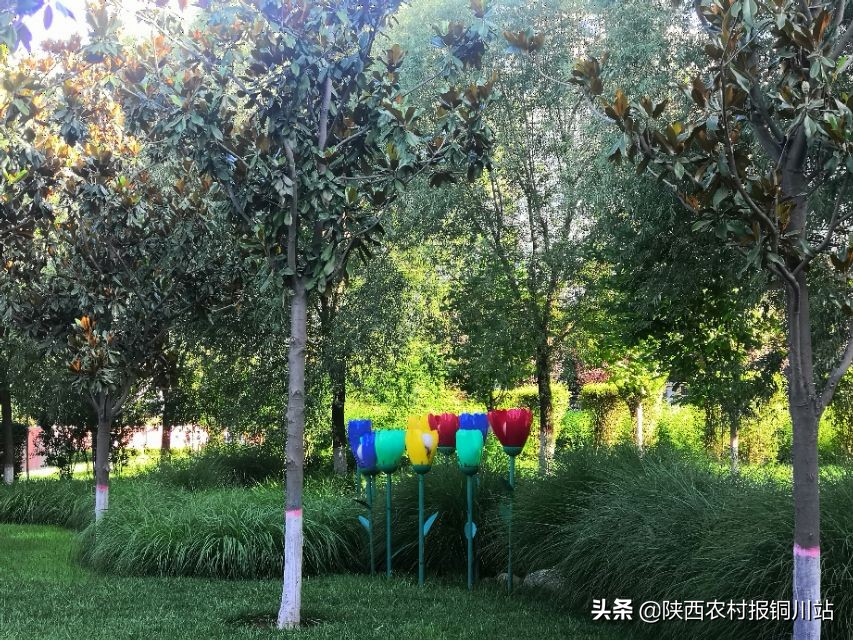 朱百强是谁,朱百强散文