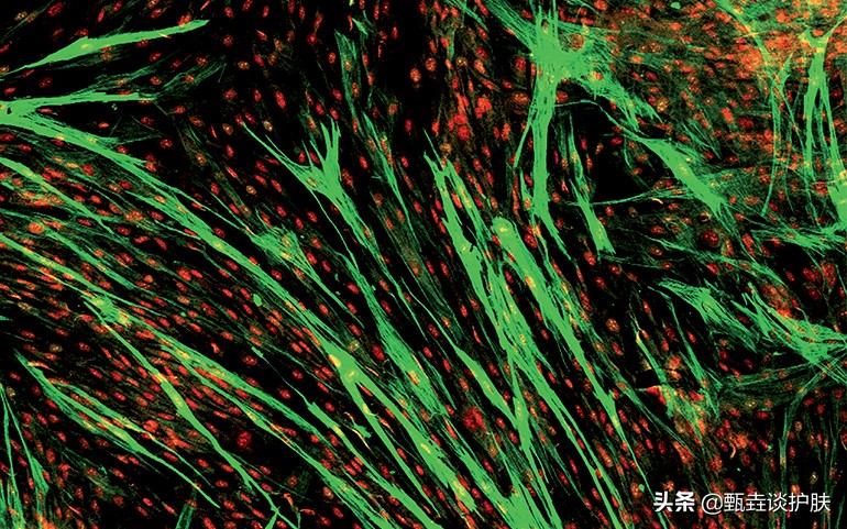 欧莱雅太空霜适合40岁吗,欧莱雅太空霜和零点面霜