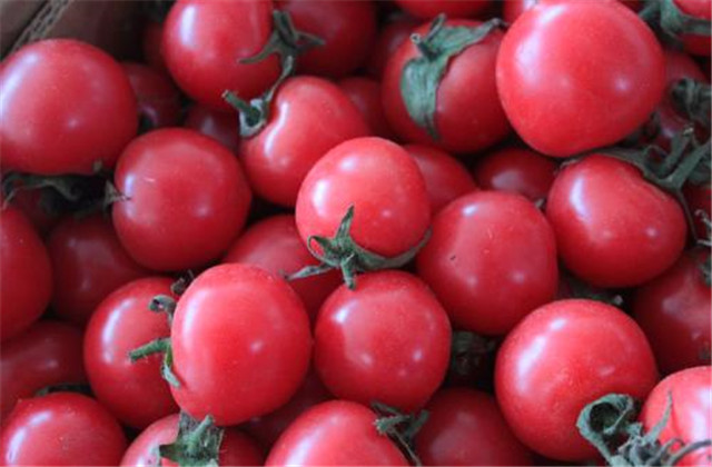 樱桃番茄尺寸有哪些,樱桃番茄有什么特点